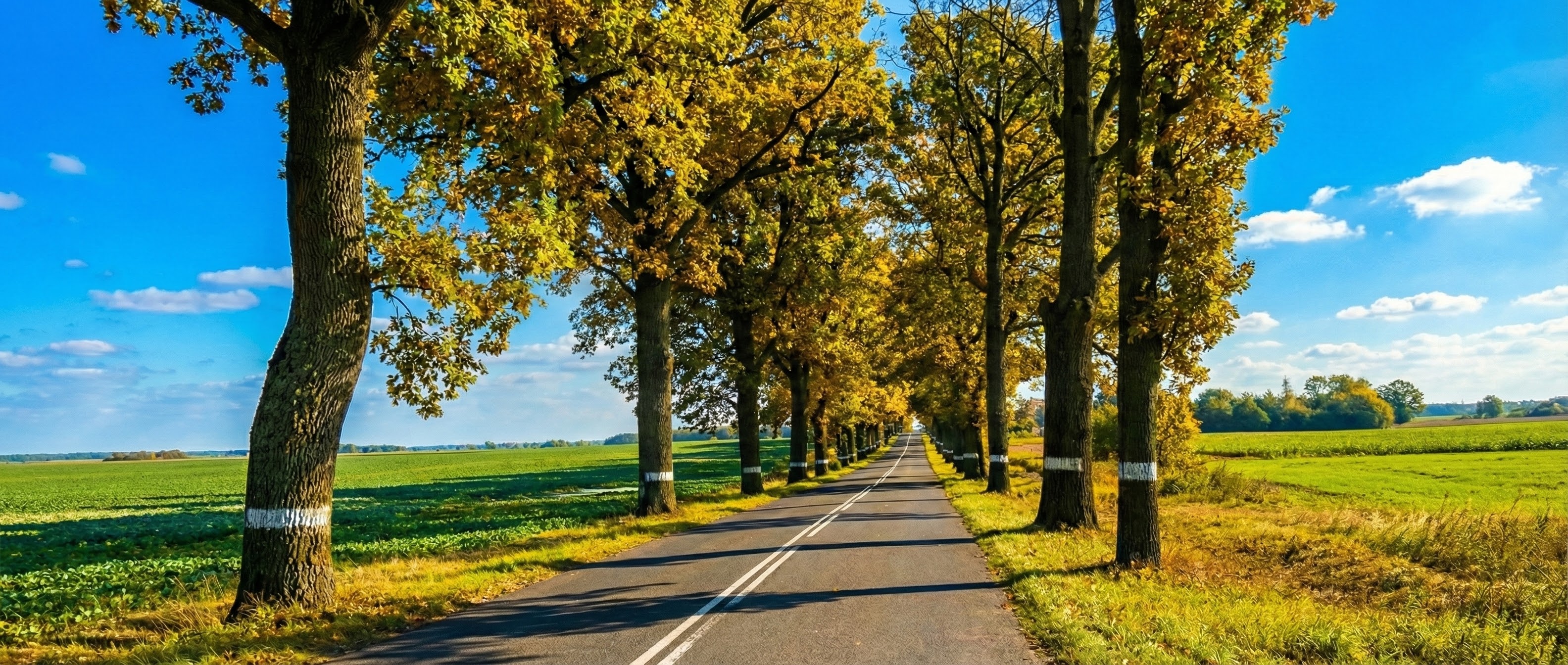 Продажа участка 6 соток (Коммерческое) Гурьевский р-н, Авангардное