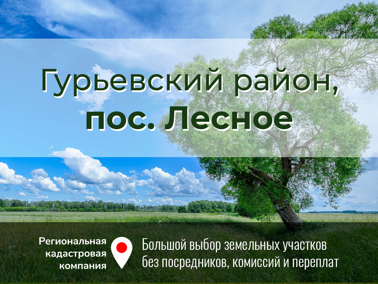 Продажа участка 6 соток (ИЖС) Гурьевский р-н, Лесное, Калининградская область - фото 1