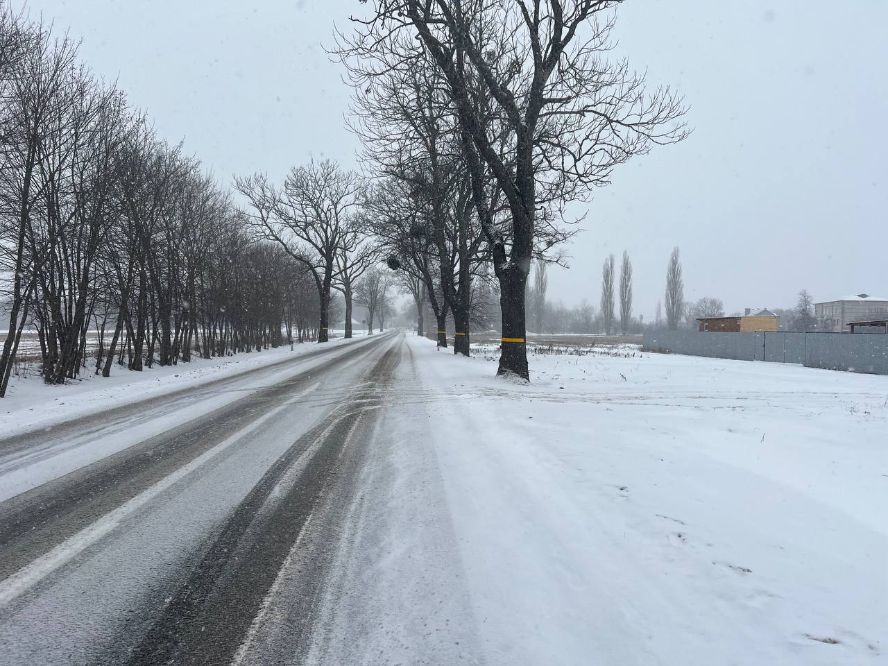 Продажа участка 8.2 соток Гурьевский р-н, Высокое, Калининградская область - фото 1