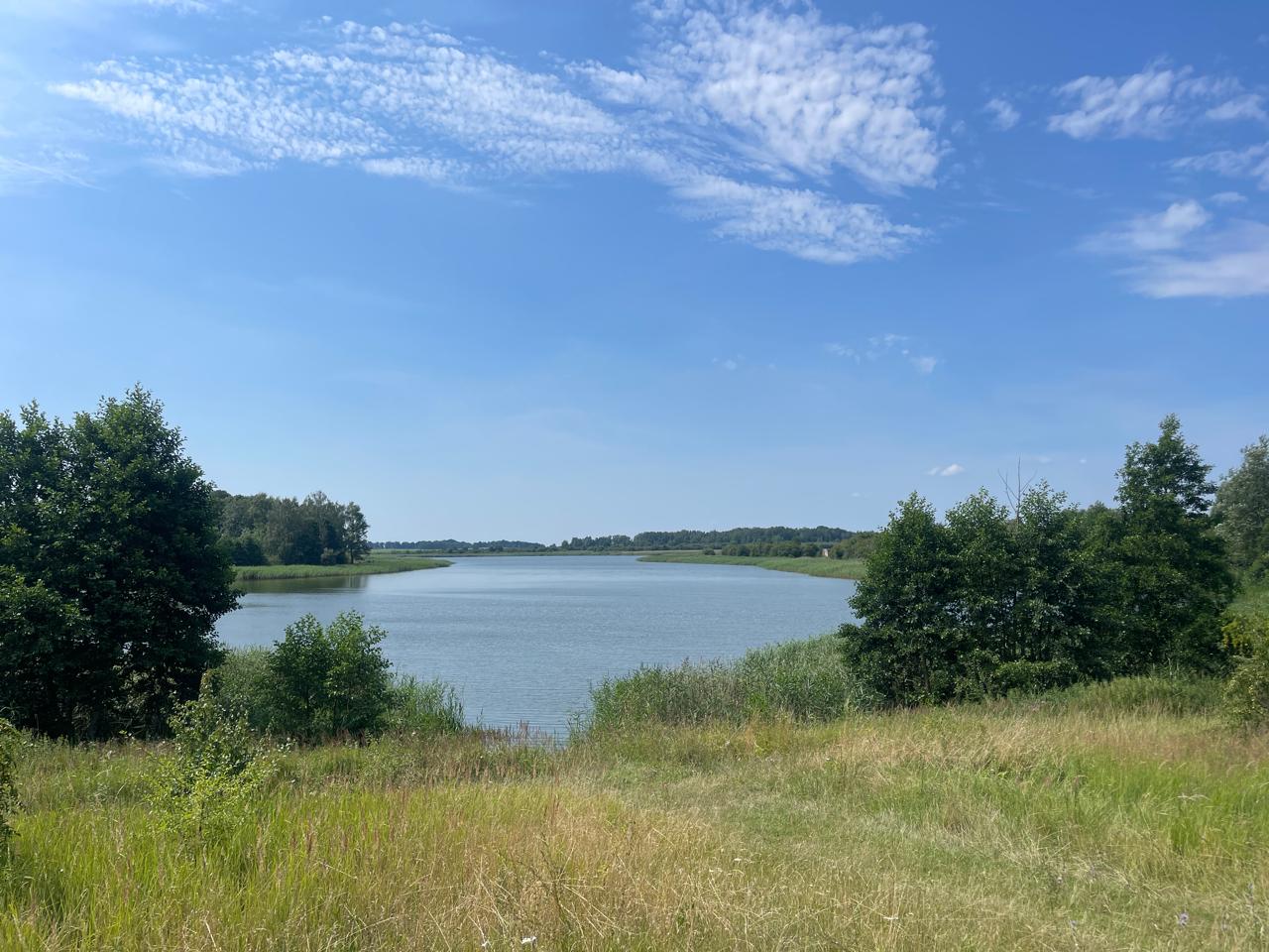 Продажа участка 14.1 соток (ИЖС) Правдинский р-н, Никитино, Калининградская область - фото 1