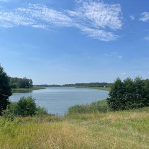 Продажа участка 15 соток (ИЖС) Правдинский р-н, Никитино